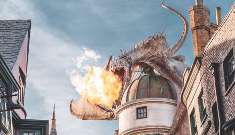 Harry Potter Studios Orlando: cosa vedere e informazioni sui biglietti